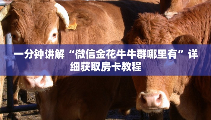 一分钟了解“新下游大厅金花房卡怎么弄”获取房卡购买教程
