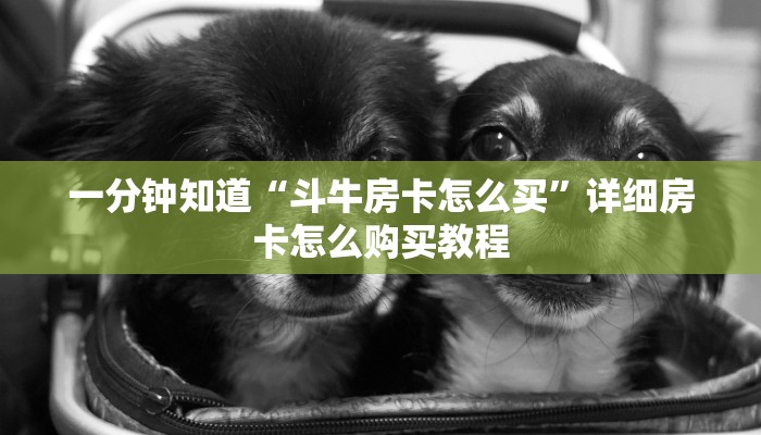 一分钟了解“微信如何创建拼十张房间卡”在哪充值购买