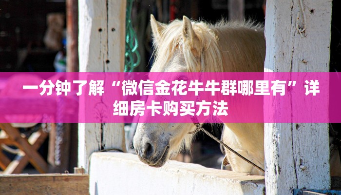 一分钟了解“新老夫子房卡客服”在哪充值购买