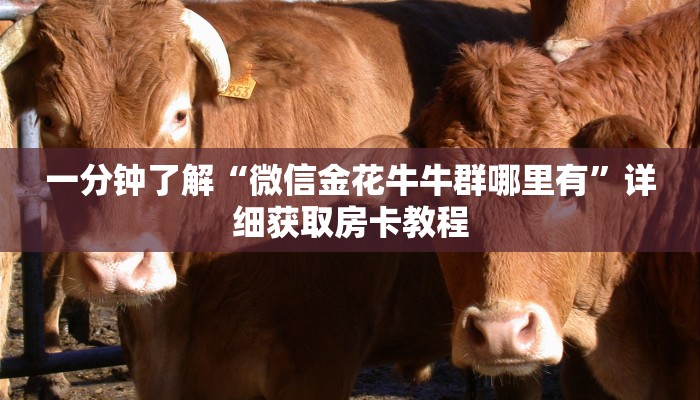 玩家必看“新九神大厅如何购买房卡”教程房卡分享 玩家必看“新九神大厅如何购买房卡”教程房卡分享