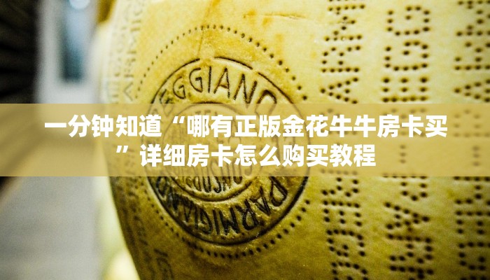 一分钟攻略“大牌九房间怎么开”在哪充值购买