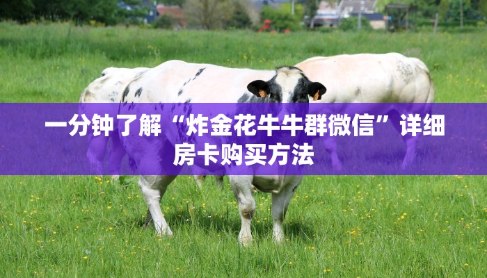 必看攻略“炸金花房间链接”在哪充值购买