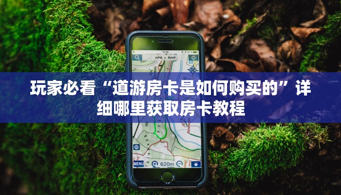 必看攻略“道游房卡代理平台”在哪充值购买