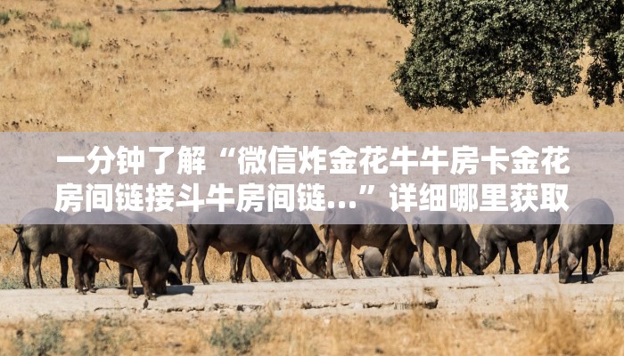 一分钟知道“微信牛牛链接房卡”教程房卡分享