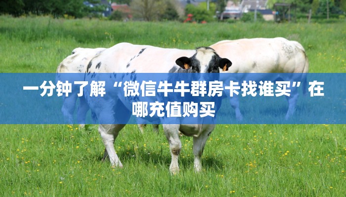 必看攻略“拼三张金花房卡”在哪充值购买 必看攻略“拼三张金花房卡”在哪充值购买