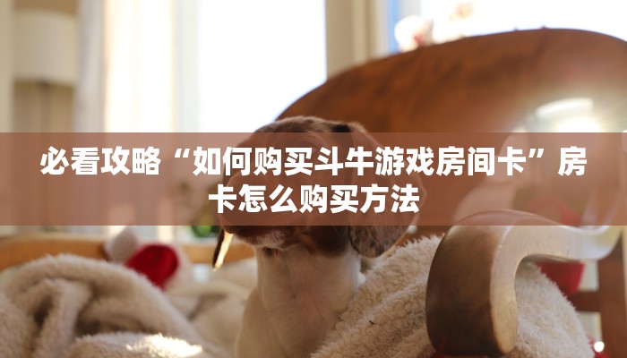 一分钟了解“美猴王金花牛牛房卡”房卡怎么购买方法