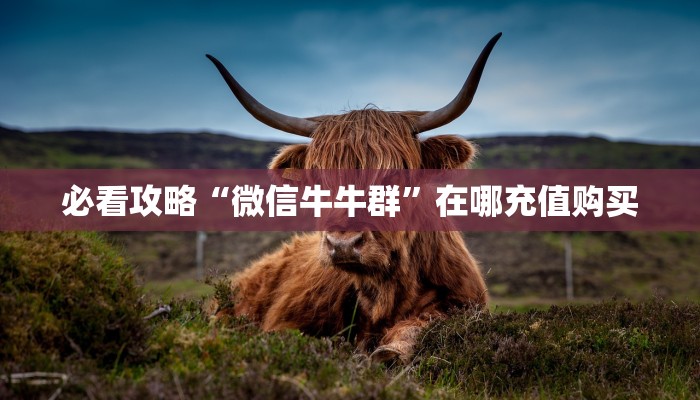 必看攻略“微信牛牛群”在哪充值购买