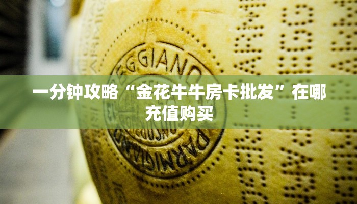 一分钟攻略“金花牛牛房卡批发”在哪充值购买