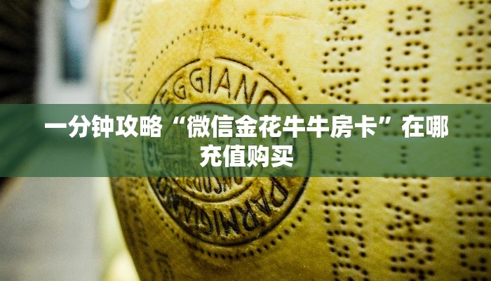 一分钟攻略“微信金花牛牛房卡”在哪充值购买