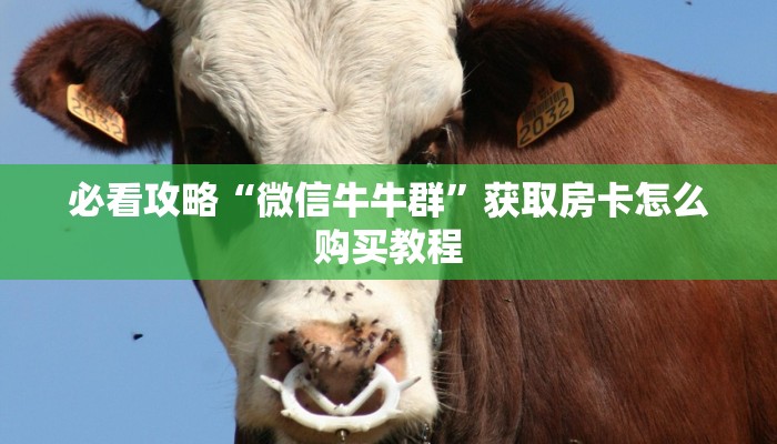 必看攻略“微信牛牛群”获取房卡怎么购买教程 必看攻略“微信牛牛群”获取房卡怎么购买教程