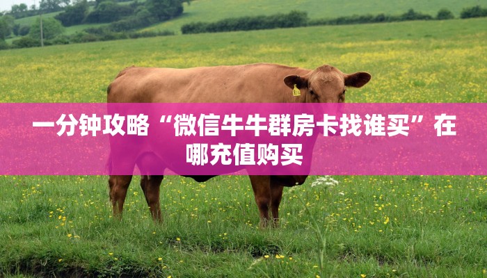一分钟攻略“微信牛牛群房卡找谁买”在哪充值购买