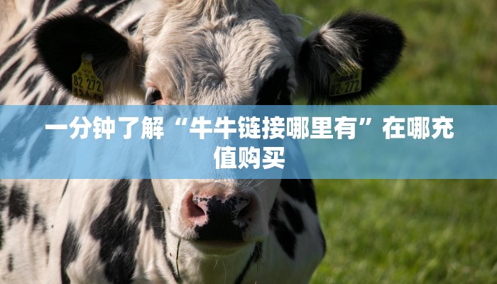 必看攻略“西兵房卡客服”获取房卡怎么购买教程