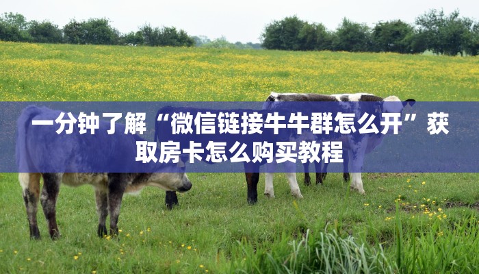 一分钟了解“微信链接牛牛群怎么开”获取房卡怎么购买教程
