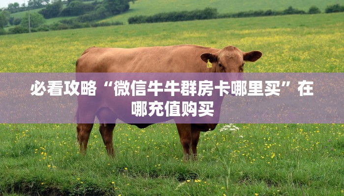一分钟了解“新永和大厅在哪里买房卡”教程房卡分享