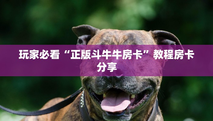 玩家必看“正版斗牛牛房卡”教程房卡分享