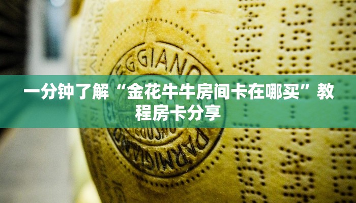 玩家必看“新二号房卡在哪买”教程房卡分享